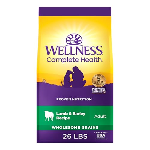 Image of Wellness Complete Health Adult Dry Dog Food, Wholesome Grain Kibble, Natural, Lamb and Barley Recipe, 26 lb Bag