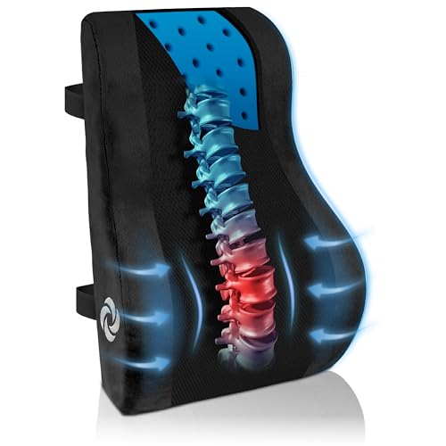 Consejos para Comprar Cojines para espalderas y sillas del mes. 45 Samsonite - Almohada de Apoyo Lumbar ergonómica para Silla de Oficina y Asiento de Coche, cojín de Espuma viscoelástica para aliviar el Dolor de Espalda Baja, Malla...