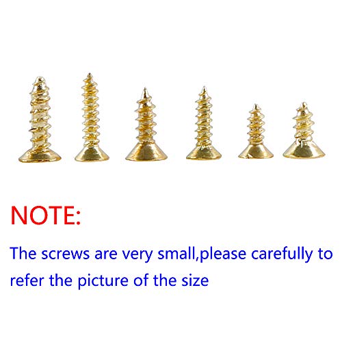 newlng 1200pcs Small Screws Phillips Flat Head Cross Self Tapping Tiny Screw Cabinet Electronic Accessories Screw Multifunctional DIY Micro Woodworking Mini Screw Set Gold