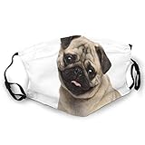 mops welpen Zum Schutz von Mund und Gesicht vor Staub. Anzug für Haushalt, öffentliche Plätze, Schulen, Aktivitäten im Freien, Reisen, Gartenarbeit, Malen, Bauen, Putzen, Radfahren, Laufen, Wandern, Camping, Party, Cosplay.
