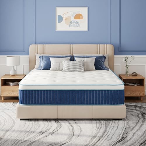 EGOHOME 12 Inch Hybrid Mattress, Queen Mattress in a Box, Fibergl...
