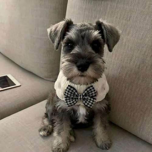 Bandana de punto festiva para mascotas ideal como disfraz de vacaciones 4