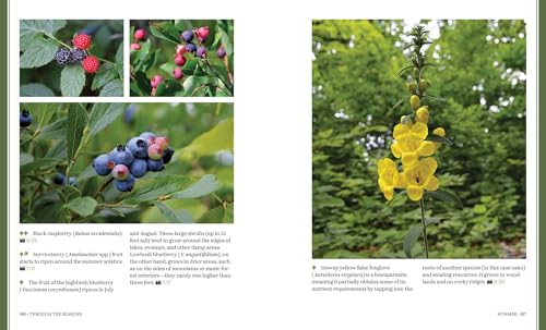 Through the Seasons: A Botanical Odyssey of the Native Plants of the Northeast - Image 7