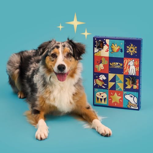Lily’s Kitchen mit natürlichen Zutaten Adventskalender für ausgewachsene Hunde mit Fleischleckerlis Getreidefreie Rezepturen 100 g