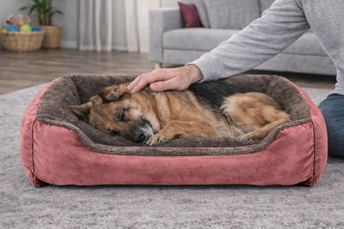 Image of SITSNOOZE Dog Beds Dogs & Cats, Rectangle Washable Pet Bed Comfortable and Breathable Pet Sofa Warming Orthopedic and Non-Skid Bottom (Reversible) (Brown & Rose Gold, XXL)