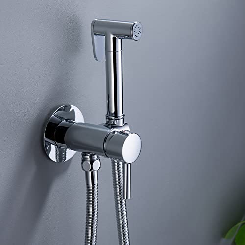 SHAMANDA Warm Water Bidet Sprayer for Toilet with Hot and Cold Brass Rough-in Valve, Stainless Steel Round Handheld Bidet Attachment Set for Feminine, Pets and Baby Diaper Wash, Polished Chrome BDS09