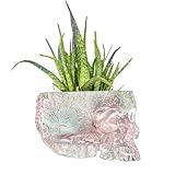 Iridescent Skull Planter Pot 6 Inch Skeleton Head Pot Succulents Flowers, & Bowl Dish Gothic Decor for Garden Home Parties Haunted House Spooky Black Display Halloween Skull Flower Pot Decoration Gift