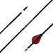 400 Spine Arrow 28 Inch Arrow Target Practice Arrow Hunting Arrow Carbon Arrows Compound Bow Recurve Bow Adult Youth Archery Indoor Outdoor Shooting Bullet Tip 12pc Black