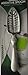 Franmara Absinthe Spoon, Stainless Steel