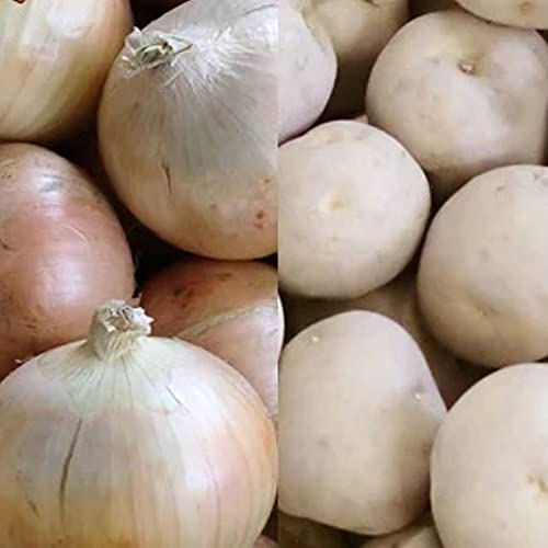  ؃Zbg  10kg kC ʂ˂ 10kg v 20kg kC k L^AJ ܂˂ ʔK ^}lM  Zbg