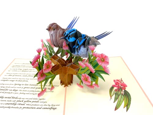 ForeverGiving Tarjeta Wren Pop Up, Tarjeta del Día de las Madres, Tarjeta del Día de los Padres, Tarjeta de Aniversario, Tarjeta de Jubilación, Tarjetas de Cumpleaños para él y ella, Hacer sonreír a