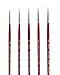 Produktbild 5 feine Rotmarderpinsel Künstlerpinsel Rotmarder Pinsel Set Spitzpinsel Grösse 10/0, 5/0, 4/0, 3/0 und 2/0 Pinselset für Aquarell, Modellbau, Öl,