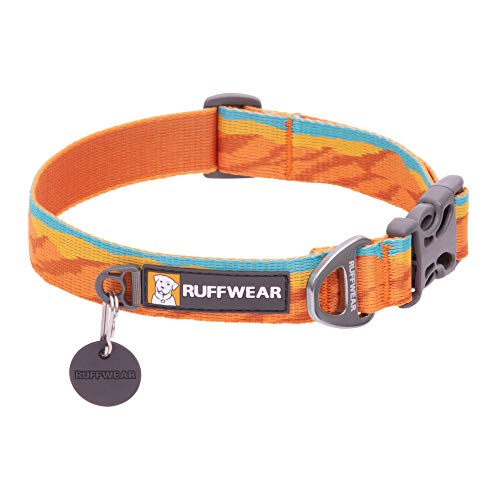 Orvis Dog Collar The 15 best products compared Wild Explained