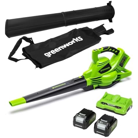 Aspirateur Souffleur Greenworks GD24X2BVK4X Cover