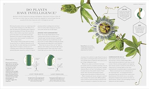 The Science of Gardening: Discover How Your Garden Really Grows (DK Science of) - Image 4