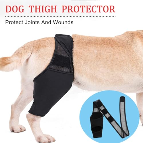 DKDDSSS Kniebandage Hund Hinterbein - Bandage für Hund mit Kreuzbandriss, Recovery Sleeve Hund - Unterstützung und Schutz für Hinterbein