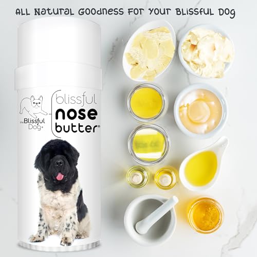 Image of The Blissful Dog Landseer Newfoundland Nose Butter, Versatile Dog Nose Balm for Dry Nose, Handcrafted Nose Moisturizer, Easy-to-Apply Dog Essentials, Unscented, 2 oz.