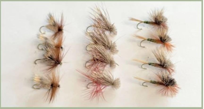 12 Sedge and Tilt Wing Dry Trout Flies, barbed or Barbless, size choice (Barbed, 12)