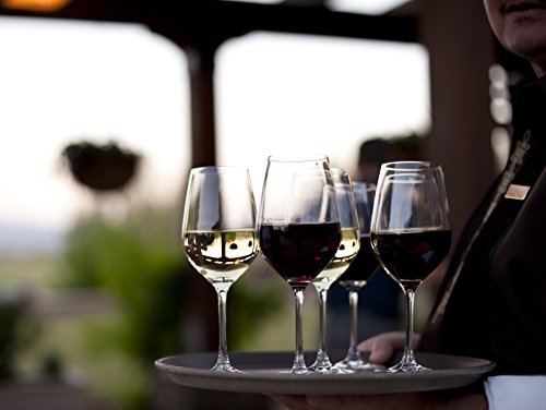 Schott Zwiesel Forte Tritan Crystal Stemware Collection Burgundy/Light Red & White Wine Glasses, 1 Count (Pack Of 1), Clear #TOP4