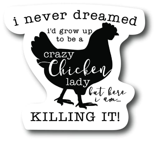 Crazy Chicken Lady Funny 4. In Refrigerator Magnets – Funny Magnets For Fridge Dishwasher , Whiteboard, Toolbox Or Car And Truck |Pm590|, Multi-Color, (590M) #TOP16