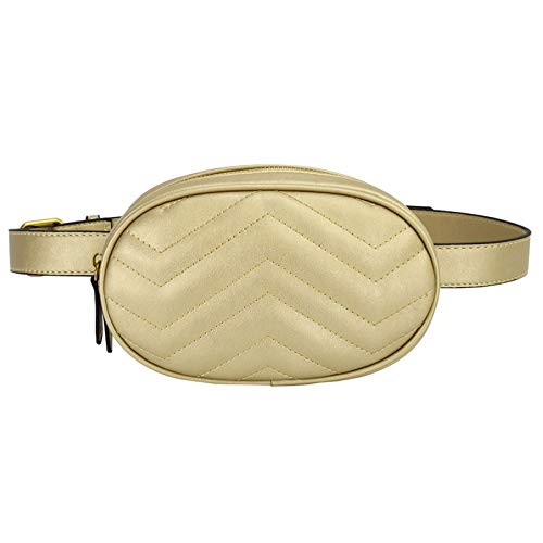 Adlereyire Waist Bag for Women Girls Fashion Waterproof Fanny Pack, Hip Pouch Travel Belt Bag Party Phone Bags Casual Outdoor Ladies Purse Mini Waistpack (Color : Gold)