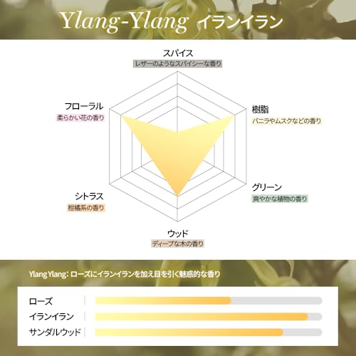 KUNDAL/クンダル ダメージケア2個入りセット(シャンプー500ml+トリートメント250ml #イランイラン #Ylang Ylang Protein Bonding Shampoo+ Treatment #Ylang Ylang の商品画像 5