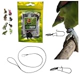 Gummiband A1 Seil 2 mm x 1 Meter mit Karabinerhaken 1 mm zum Einführen in den Ring des Papageienbeins zum Mitnehmen, ummantelt Pfote, Leine