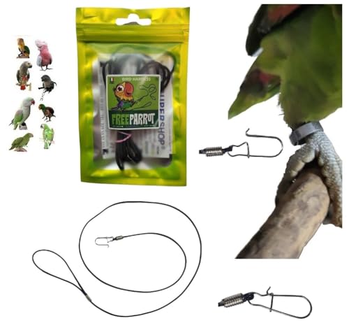 laccio elastico CORDA 2MM x 1 METRO CON MOSCHETTONE 1MM DA INSERIRE AD ANELLO DELLA ZAMPA DEL TUO PAPPAGALLO per portarlo IN GIRO, IMBRACATUA ZAMPA, GUINZAGLIO PETTORINA UNIVERSALE il solo per razze medio piccole che hanno uno spazio tra anello e zampa meno di 2 mm e piu di 1,5mm ......laccio elastico CORDA 1 METRO CON MOSCHETTONE 1MM DA INSERIRE AD ANELLO DELLA ZAMPA DEL TUO PAPPAGALLO per portarlo IN GIRO, IMBRACATUA ZAMPA, GUINZAGLIO PETTORINA UNIVERSALE, questo prodotto lo consigliamo per pappagalli anellati medio piccoli TIPO KALO PARROCCHETTI CONURI AMAZZONI CENERINI E MISURE SIMILI