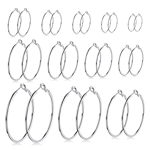 LEEQ 12 Paar Creolen Piercing Ohrreifen Edelstahl Ohr Ringe Set für Frauen Mädchen, 12 Größen, 20-75 mm