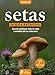 Setas (Spanish Edition)