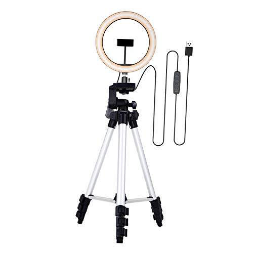 11 Zoll LED Ring Licht Dimmbare USB Selfie Gefüllt Licht 3 Modi und 10 Helligkeit Ebenen mit Telefon Halter und stativ - Silber