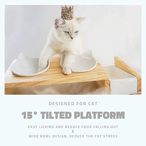 kit4cat litter