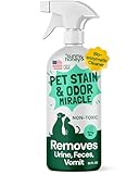 Sunny & Honey Pet Stain and Odor Remover - Enzyme Cleaner for Dog Urine and Poop on Carpets and Furniture - Strong Pet Carpet Cleaner Spray (32fl oz Mint)