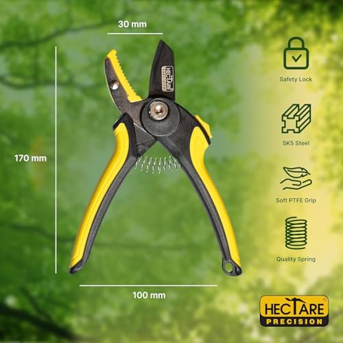 Image of Hectare Precision 3-in-1 Tree Pruner & Fruit Picker Set - 10ft Telescopic Pole, Detachable Saw Blade, Mesh Net Head, and Anvil Pruning Shears - No-Ladder Harvesting & Trimming Solution