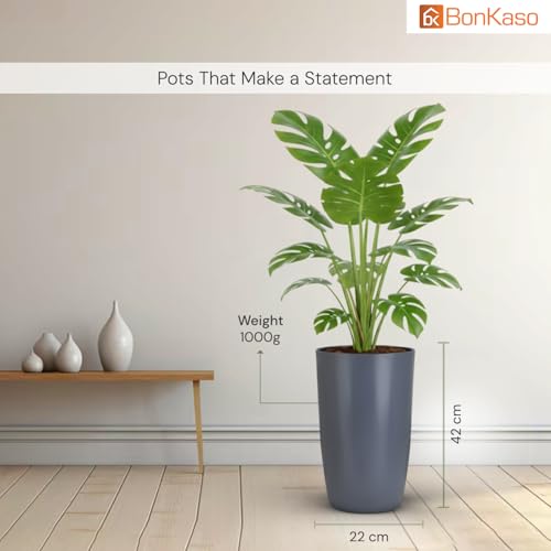 Product Variant View