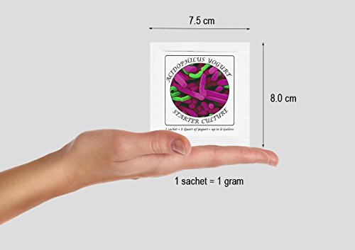 Joghurtferment für Acidophilus-Joghurt – 12 Beutel gefriergetrockneter Starterkulturen (12 Beutel)