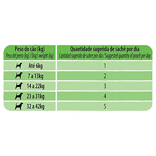 Ração Úmida Guabi Natural Grain Free Cães Adultos Salmão Frango e Vegetais 100 g