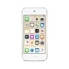Apple iPod Touch (256GB) (7th Generation) - Gold (Renewed)