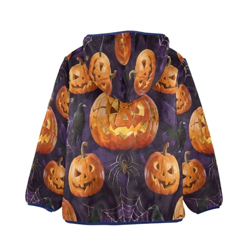 Halloween Pumpkins Spiders Birds Purple Toddler Fleece Jacket Girl Boys Hooded Fleece Jacket2