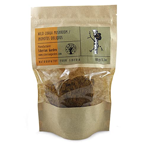 Chaga Mushrooms - 100% Raw, Wild Harvested Organic Siberian Mushroom Chunks - Hand Picked in The Altai Mountains in Siberia, Russia - 3.2 OZ