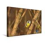 auensee königsbrunn 100% Made in Germany, dadurch sind hochqualitative Fertigung mit Verwendung unbedenklicher umweltfreundliche Rohstoffe garantiert. Öko-Tex geprüft und zertifiziert