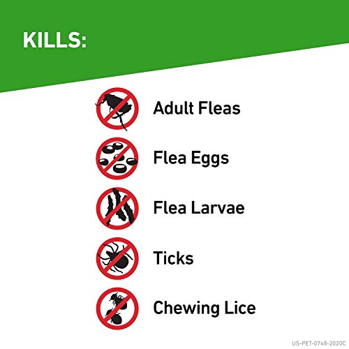 Frontline Gold for Cats vs Plus Review & Full Comparison