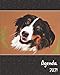 Agenda 2021: Agenda de Janvier à Décembre 2021 🐾 | Semainier grand format 25,4 × 20,3 cm (10 x 8 po) | Couverture : Bouvier Bernois | 🎁 pour les ... | Calendrier, liste de contacts, notes, ...