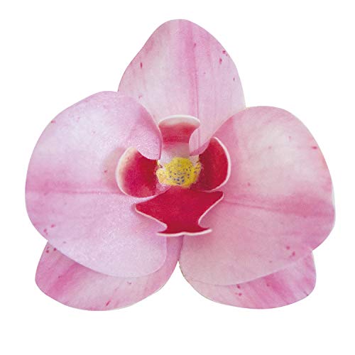 dekora – Fleurs Comestibles pour Gâteau, 10 Gaufrettes Orchidées roses 8.5 x 7.5 cm, sans sucre, sans gluten, sans lactose, Décoration Gâteau pour...