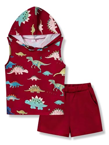 Voxikidio 2T 3T Toddler Boy Clothes Cute Pattern 2 Piece Sleeveless Hoodie Tank Tops & Shorts Set Boys Summer Outfits Set Red 2-3 T