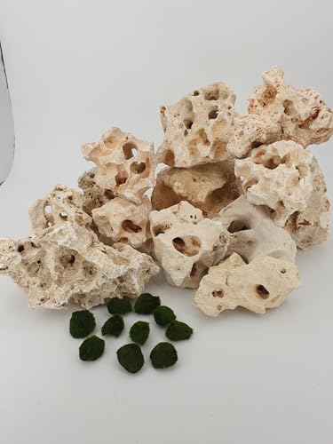 SAHAWA 15 Kg Premium weißes Lochgestein Größe S je 1-3 Kg ca. 12-15 Steine+ 10 kleine Mooskugeln 1-2 cm Aquarium Dekosteine Kalksteine