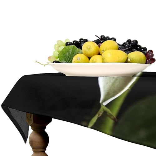 Nappe rectangulaire imperméable rose et noire pour table de cuisine - 7