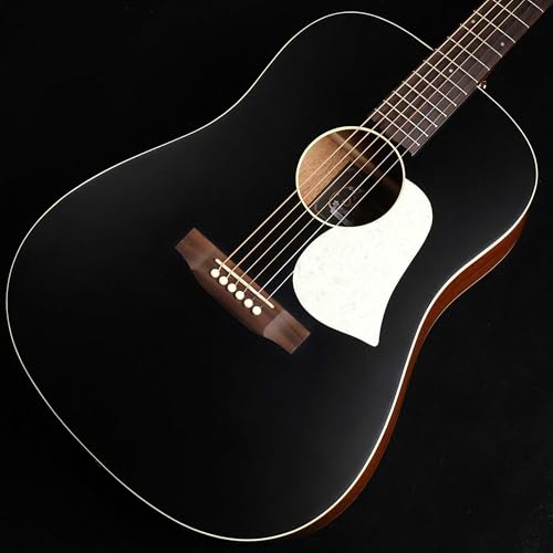 アヌエヌエ aNN-MC10-LC (アコースティックギター) 価格比較