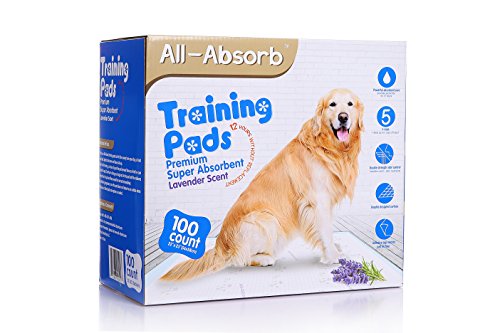 All-Absorb Premium Training Pads, Lavender Scent, 22 by 23-Inch, 100 Count