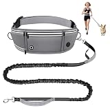 Looxmeer Correa para Perro Manos Libres con Riñonera, Correa Multifuncional con Cinta Reflectante y Doble Asa, para Perros Grandes y Medianos, 1,6-2,2M, Gris